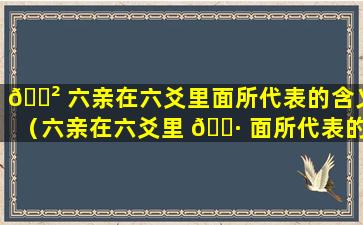 🌲 六亲在六爻里面所代表的含义（六亲在六爻里 🕷 面所代表的含义是什么）